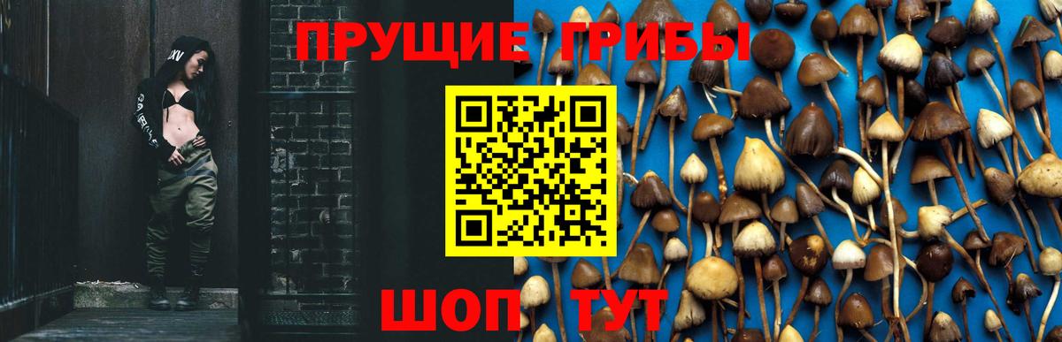 Псилоцибиновые грибы мицелий Туймазы